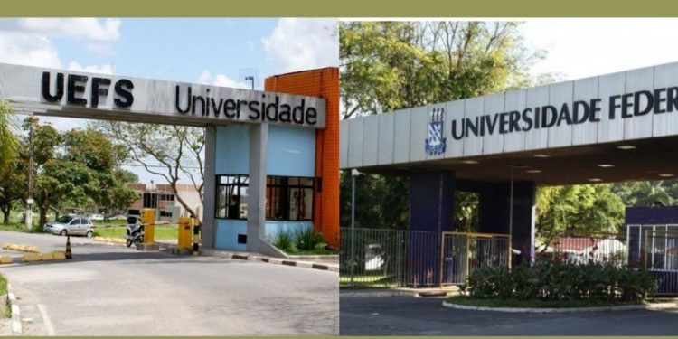 UFBA e UEFS se destacam em ranking mundial de pesquisadores
