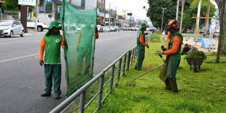 Canteiro central da avenida Getúlio Vargas passa por revitalização