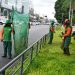 Canteiro central da avenida Getúlio Vargas passa por revitalização