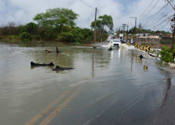 Feira de Santana segue em alerta após chuvas intensas e Defesa Civil monitora áreas afetadas
