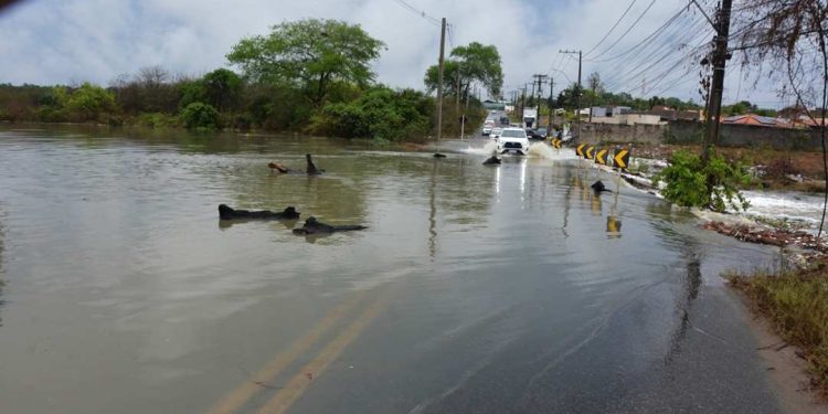 Feira de Santana segue em alerta após chuvas intensas e Defesa Civil monitora áreas afetadas