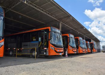 Prefeitura de Feira entrega sete ônibus climatizados para atender aos distritos