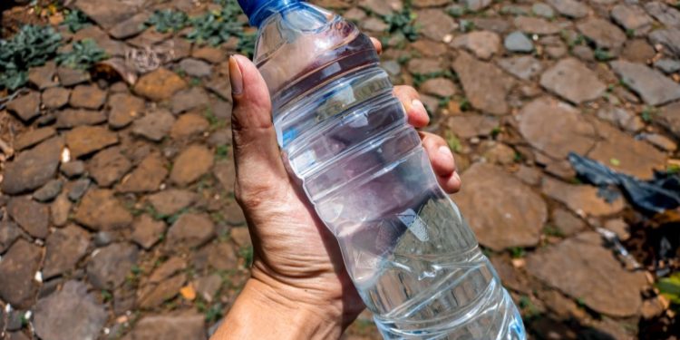 Conselho de Saúde orienta instalação de pontos de hidratação gratuitos em eventos na Bahia