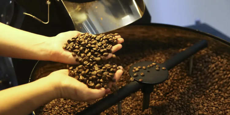 Café: com cotações recordes; previsão é de mais aumentos em 2025