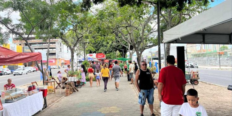 Feira na Avenida: tradição, variedade e atração para toda a família