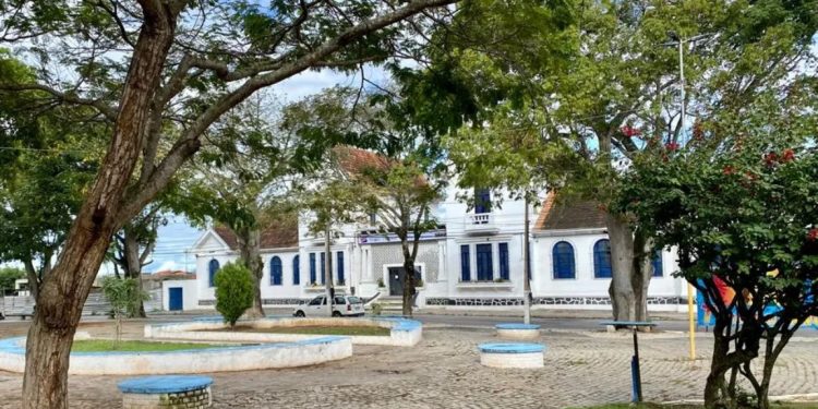 Prefeitura de Serrinha autoriza que animais abandonados sejam abatidos