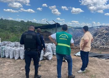 Prefeitura de Feira desmantela carvoaria clandestina na região do Pau Seco