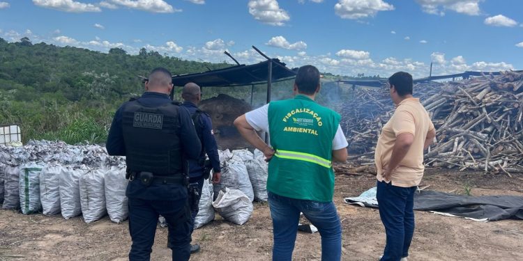 Prefeitura de Feira desmantela carvoaria clandestina na região do Pau Seco