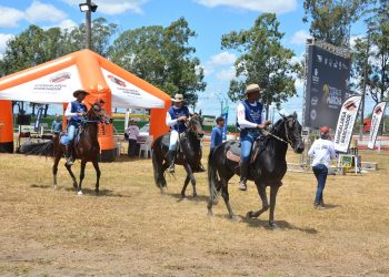 Feira de Santana vibra com a 2ª Copa de Marcha de Mangalarga Marchador