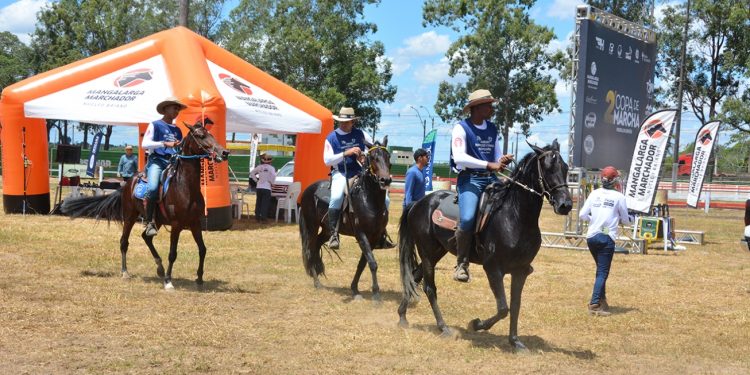 Feira de Santana vibra com a 2ª Copa de Marcha de Mangalarga Marchador