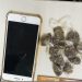 Dupla é presa com moto roubada e drogas em Feira de Santana