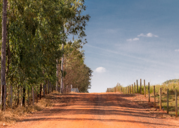 Proner: programa quer abrir 10 mil quilômetros de estradas rurais por ano