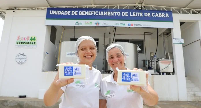 Feira de Santana recebe MOVE, o maior encontro de agroindústrias familiares da Bahia