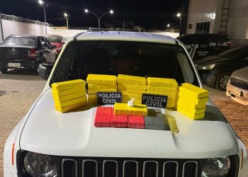Polícia Civil apreende 30 kg de cocaína na Bahia