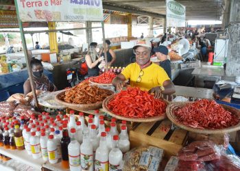 Semana Santa em Feira de Santana: PROCON revela variação de preços em pesquisa