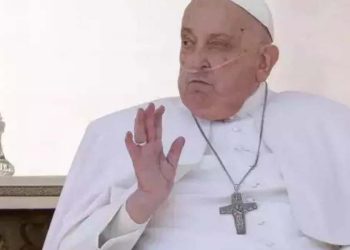 Papa Francisco surpreende fiéis ao participar do Domingo de Ramos no Vaticano