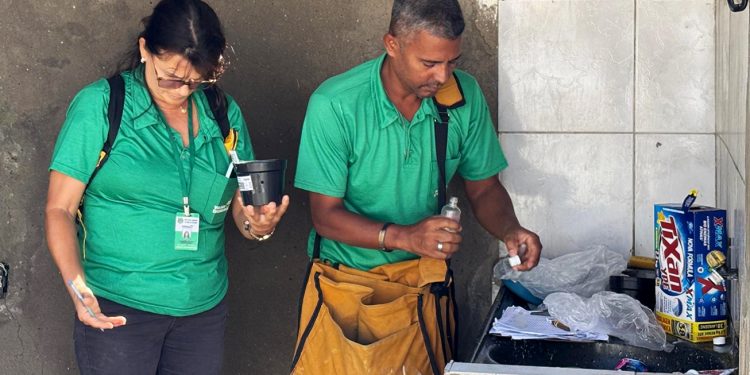 Feira de Santana inicia instalação de armadilhas para conter avanço do Aedes aegypti