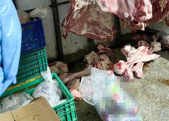 Vigilância Sanitária apreende carnes em condições precárias e interdita açougue