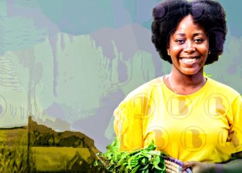 Distrito da Matinha recebe neste sábado (31) o I Encontro de Agricultura Familiar promovido pela CUFA Feira de Santana