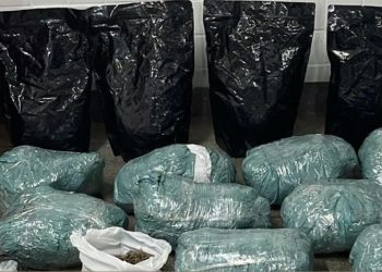 Polícia Militar prende mulher por tráfico e apreende grande quantidade de drogas em Feira de Santana