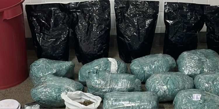 Polícia Militar prende mulher por tráfico e apreende grande quantidade de drogas em Feira de Santana