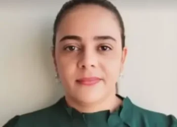 Mulher morre após ataque de abelhas na zona rural de Ipirá; vítima era alérgica e não resistiu