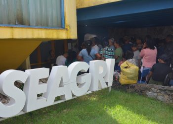 Entrega de boletos do Garantia-Safra começa e beneficia quase mil agricultores em Feira de Santana