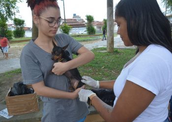 Vacinação contra a raiva para cães e gatos acontece na próxima semana em Feira