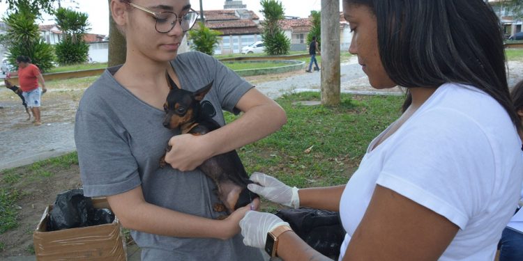 Vacinação contra a raiva para cães e gatos acontece na próxima semana em Feira