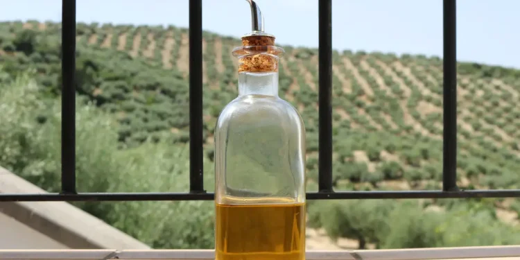 Anvisa proíbe venda de mais duas marcas de azeite no Brasil