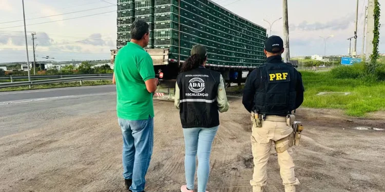 Frangos apreendidos em Feira de Santana são abatidos e parte é doada a instituições de caridade