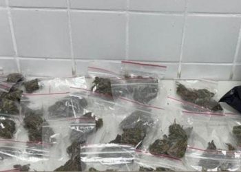 66ª CIPM apreende drogas e conduz suspeito à delegacia no bairro Gabriela