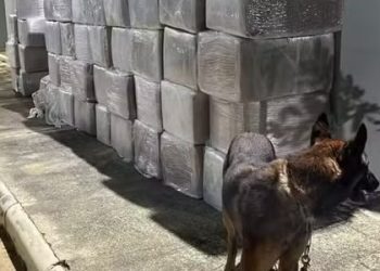 Homem é preso com quase três toneladas de maconha em caminhão no sudoeste da Bahia