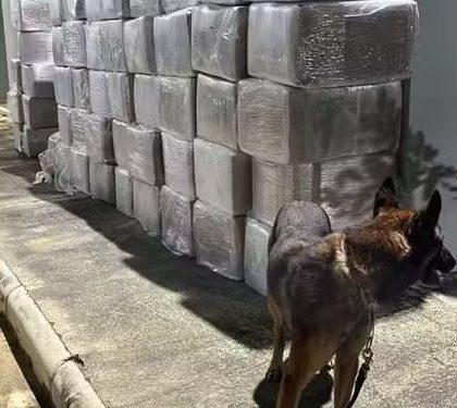 Homem é preso com quase três toneladas de maconha em caminhão no sudoeste da Bahia