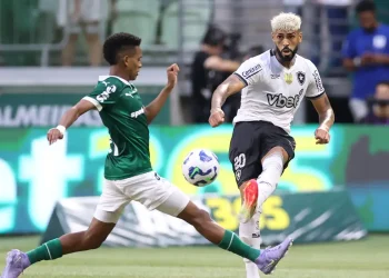 Botafogo e Palmeiras fazem clássico brasileiro nas oitavas do Mundial de Clubes