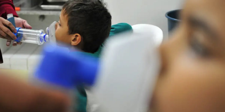 Rinovírus lidera casos graves de síndrome respiratória na Bahia