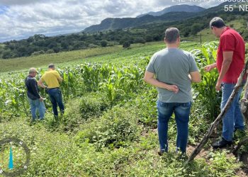 Fiscalização flagra irregularidades no uso de agrotóxicos em Jaguara