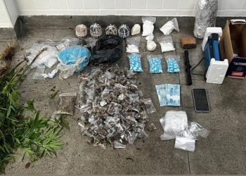 Polícia Militar apreende drogas, pés de maconha e explosivos em ação no bairro Conder, em Feira de Santana
