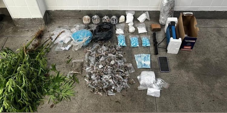 Polícia Militar apreende drogas, pés de maconha e explosivos em ação no bairro Conder, em Feira de Santana