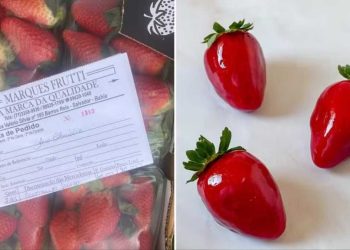“Morango do amor” viraliza e dispara preço da fruta na Bahia