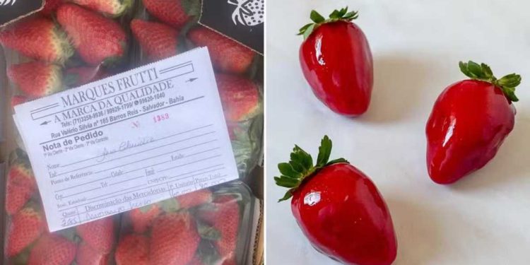 “Morango do amor” viraliza e dispara preço da fruta na Bahia