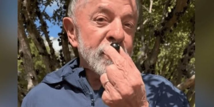 Brasil prepara retaliação a tarifas dos EUA; decreto deve ser publicado até terça (15)