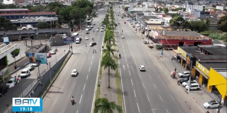 Palmeiras recém-plantadas são furtadas em avenida de Feira de Santana