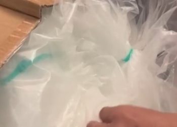 Polícia Civil apreende 220 kg de cocaína e prende suspeito em Feira de Santana