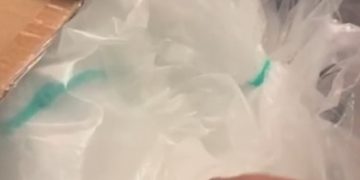 Polícia Civil apreende 220 kg de cocaína e prende suspeito em Feira de Santana