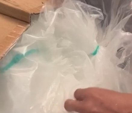 Polícia Civil apreende 220 kg de cocaína e prende suspeito em Feira de Santana