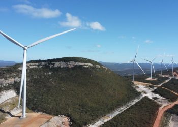 Um terço da força de trabalho da Bahia já atua em setores verdes ou potencialmente verdes
