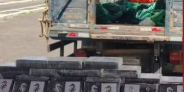 Motorista é preso com 500 kg de cocaína escondidos em carga de cebolas na BA-502