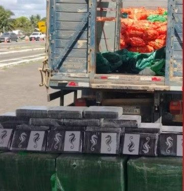 Motorista é preso com 500 kg de cocaína escondidos em carga de cebolas na BA-502