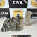 Polícia Civil prende homem em flagrante por tráfico de drogas em Santo Estêvão